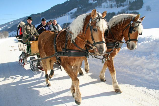 Pferdeschlittefahrten - Winterurlaub in der Region Schladming-Dachstein